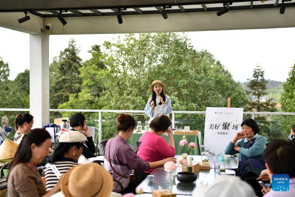 Tea tourism gives new impetus to local economy in C China's Hunan