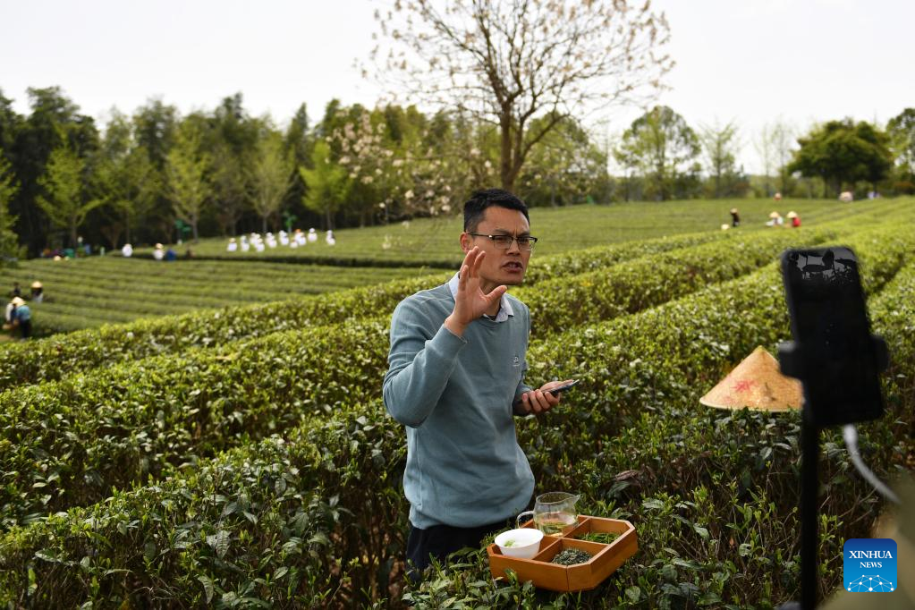 Tea tourism gives new impetus to local economy in C China's Hunan