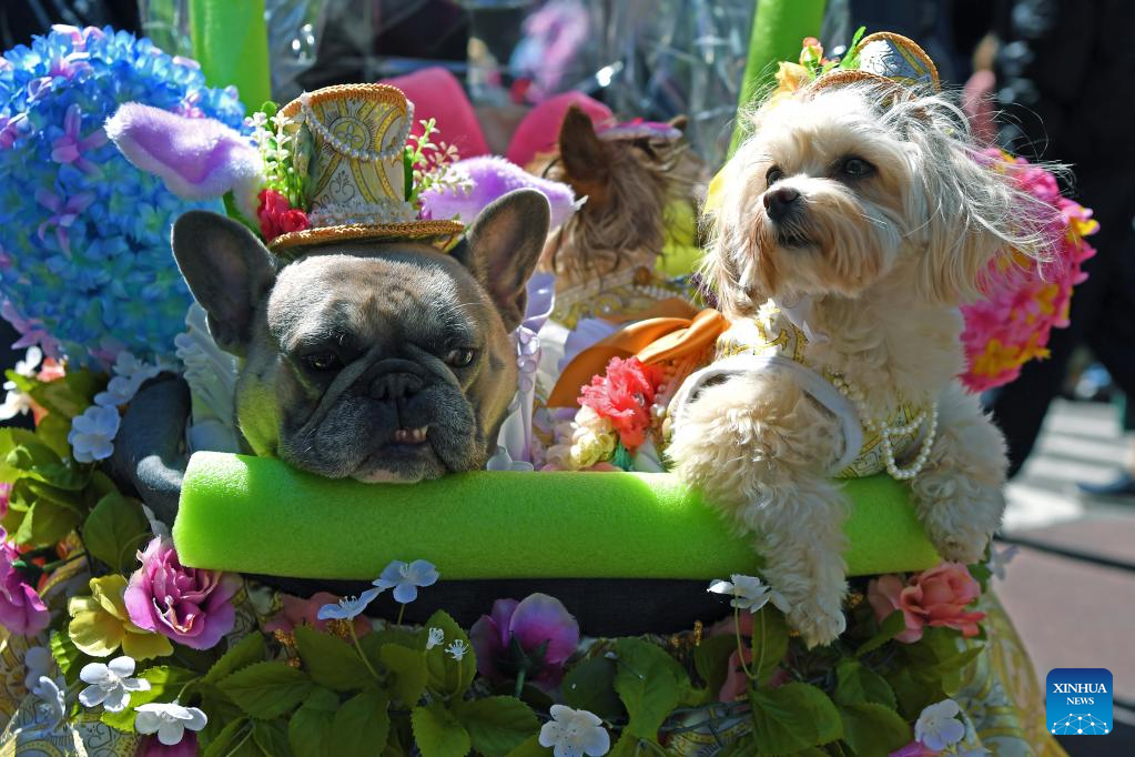 Easter Bonnet Parade takes place in U.S.