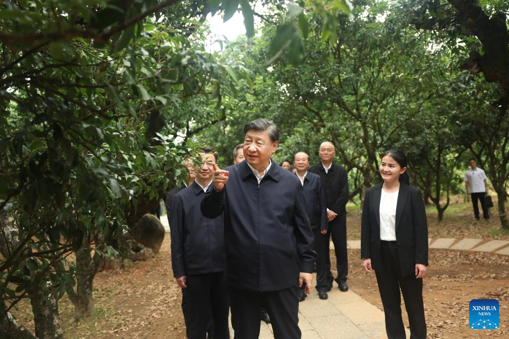 Xi inspects southern Chinese city of Maoming