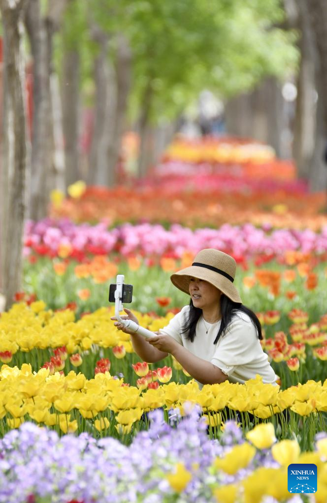 Tourists enjoy blooming flowers by Yongding River in Beijing