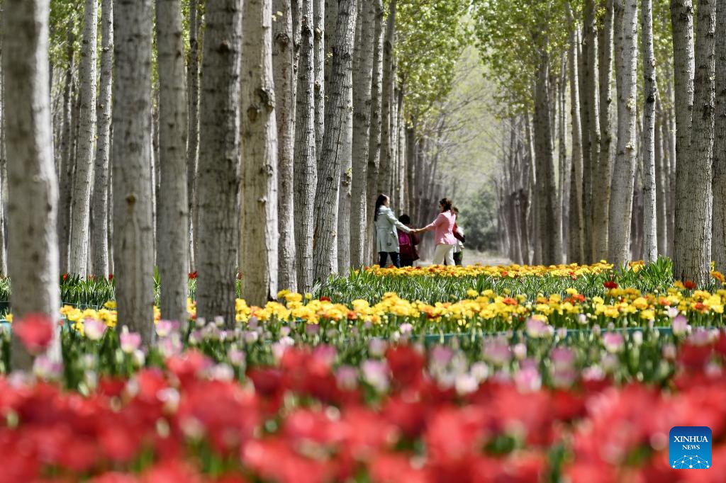 Tourists enjoy blooming flowers by Yongding River in Beijing