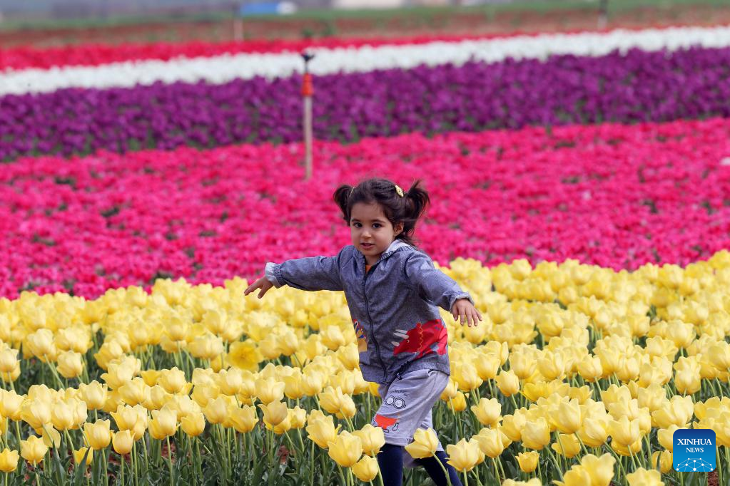 People enjoy blooming tulips in Konya, Türkiye