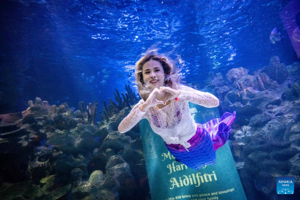 In pics: mermaid performance at Aquaria KLCC in Kuala Lumpur, Malaysia