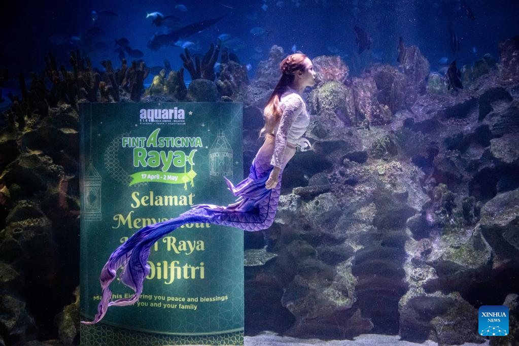 In pics: mermaid performance at Aquaria KLCC in Kuala Lumpur, Malaysia