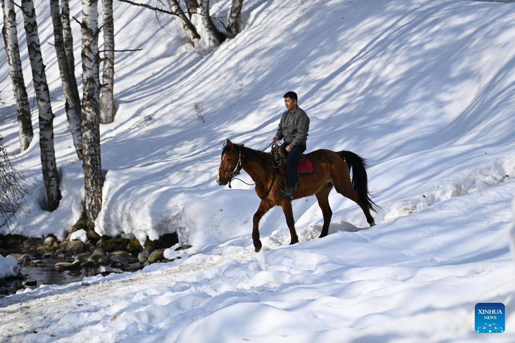 Village party secretary leads locals on journey to rural revitalization