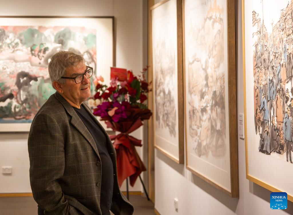 Painting exhibition from Chinese Australian artists promotes cross-cultural exchanges