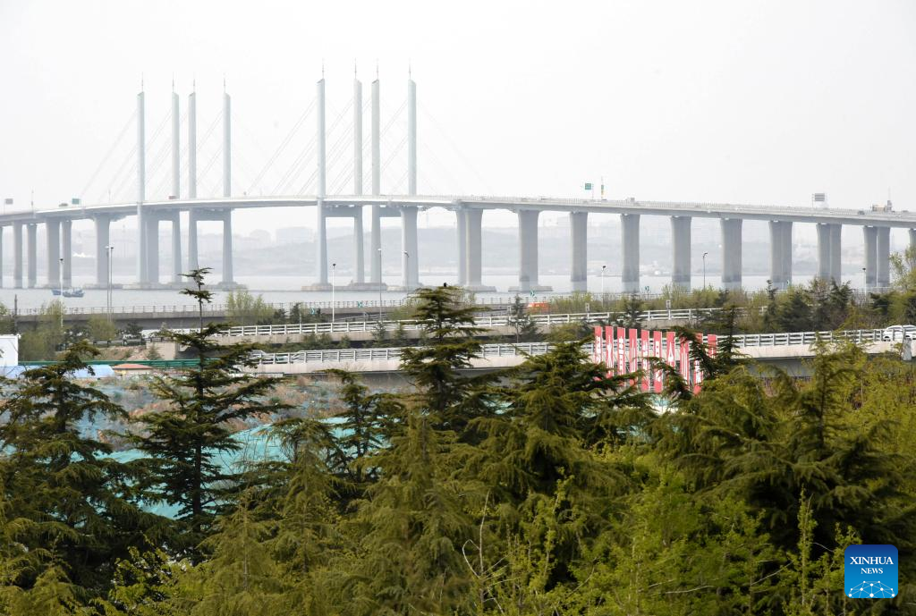 Across China: Four decades of protection of east China bay ecosystem pays off