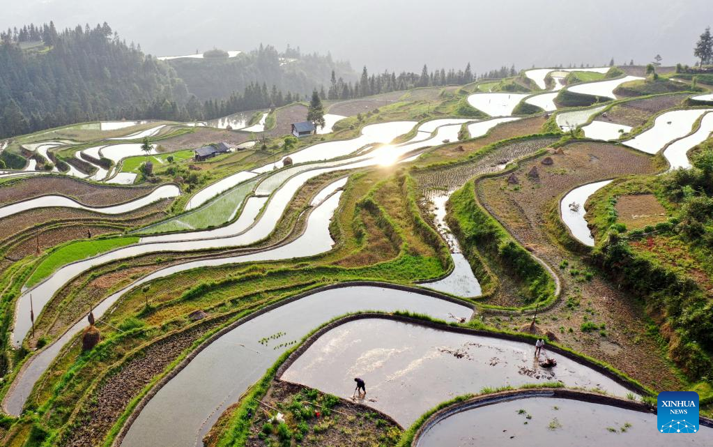 Chinese farmers busy with field works at beginning of summer