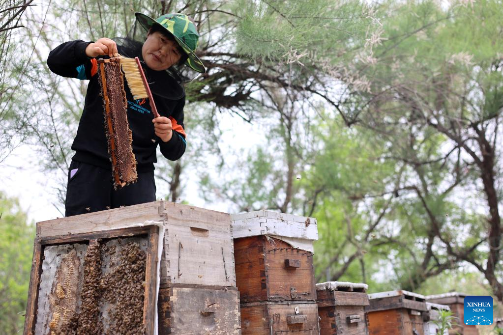 Chinese farmers busy with field works at beginning of summer