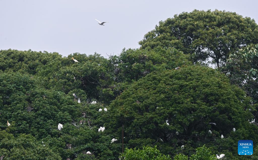 E China's Deqing County adheres to green development