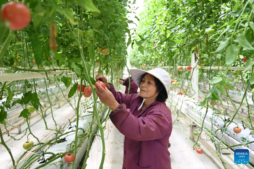 E China's Deqing County adheres to green development