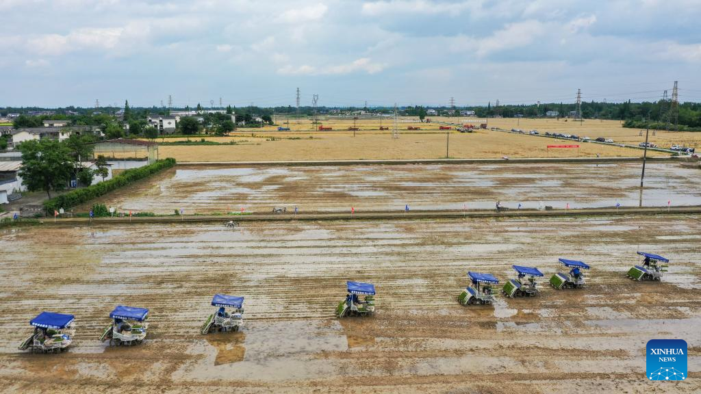 Farmers across SW China's Sichuan Province busy with works in fields