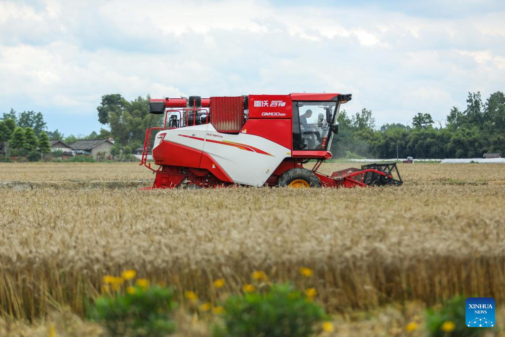 Farmers across SW China's Sichuan Province busy with works in fields