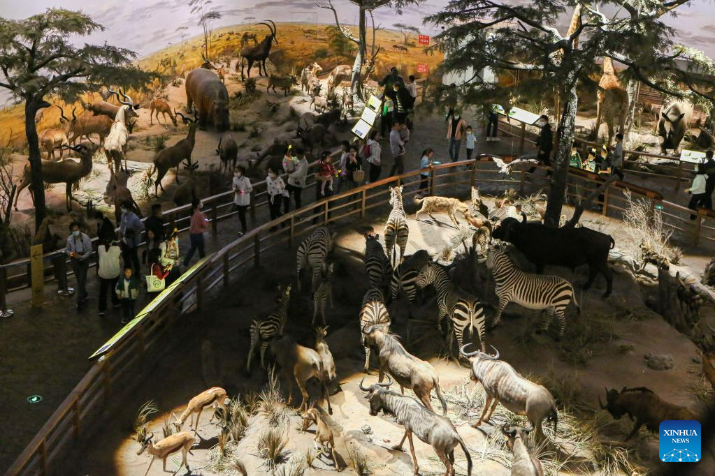 Special event in celebration of International Museum Day held in Shanghai