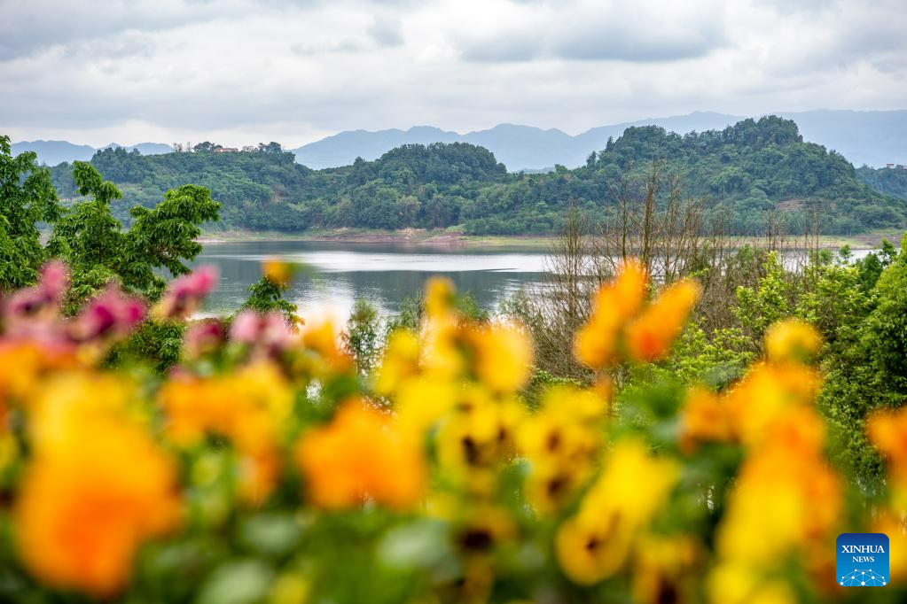 Changshou Lake takes on new look thanks to efforts of ecological restoration