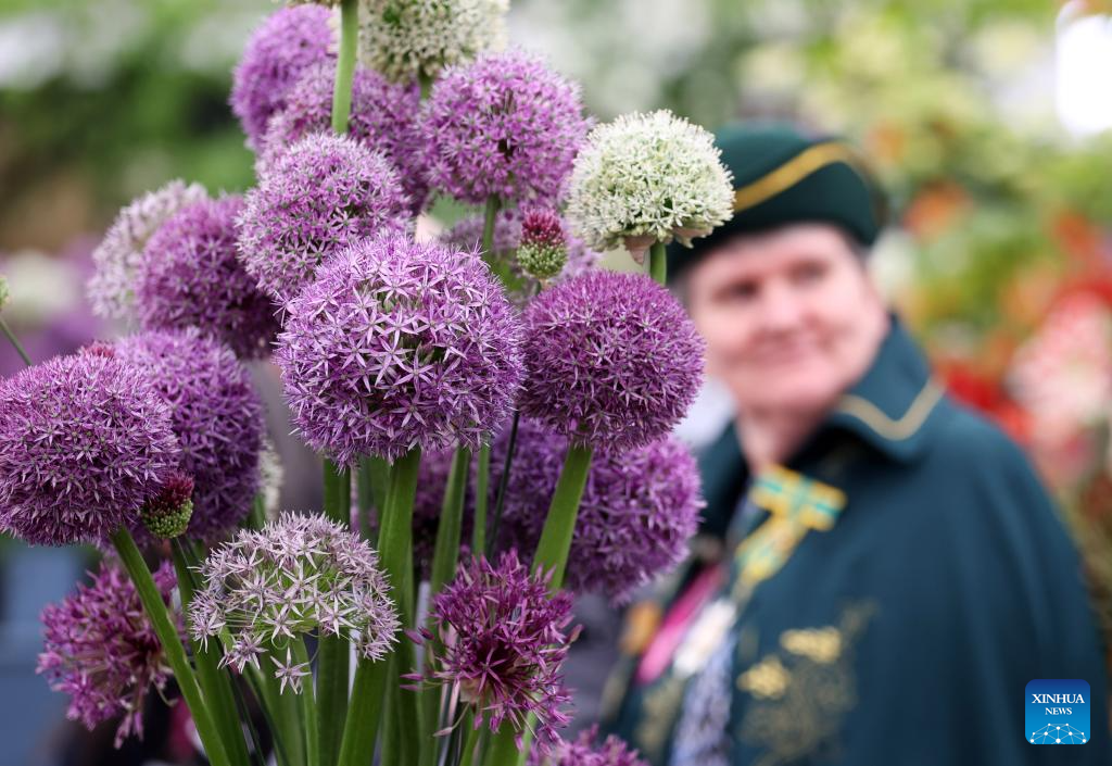 RHS Chelsea Flower Show in London to open to public