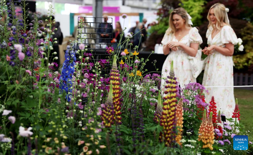 RHS Chelsea Flower Show in London to open to public