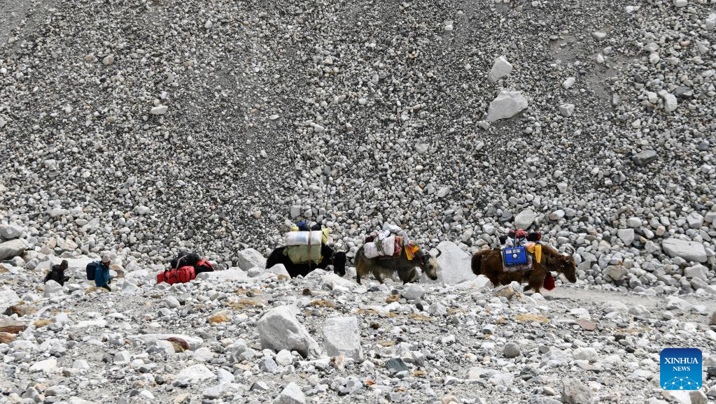 Pic story of herdsmen in China's Tibet
