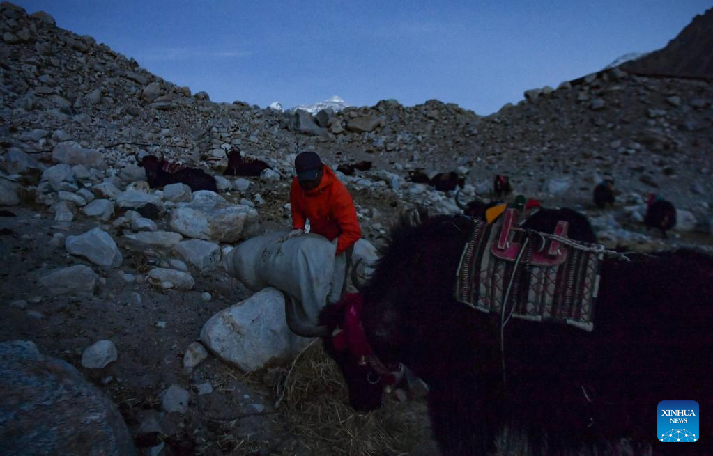 Pic story of herdsmen in China's Tibet