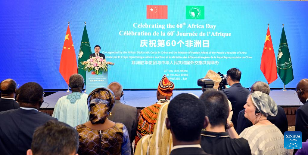 Chinese FM calls for stronger China-Africa mutual support, strategic synergy