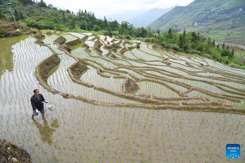 In pics: terraced fields in China's Fujian