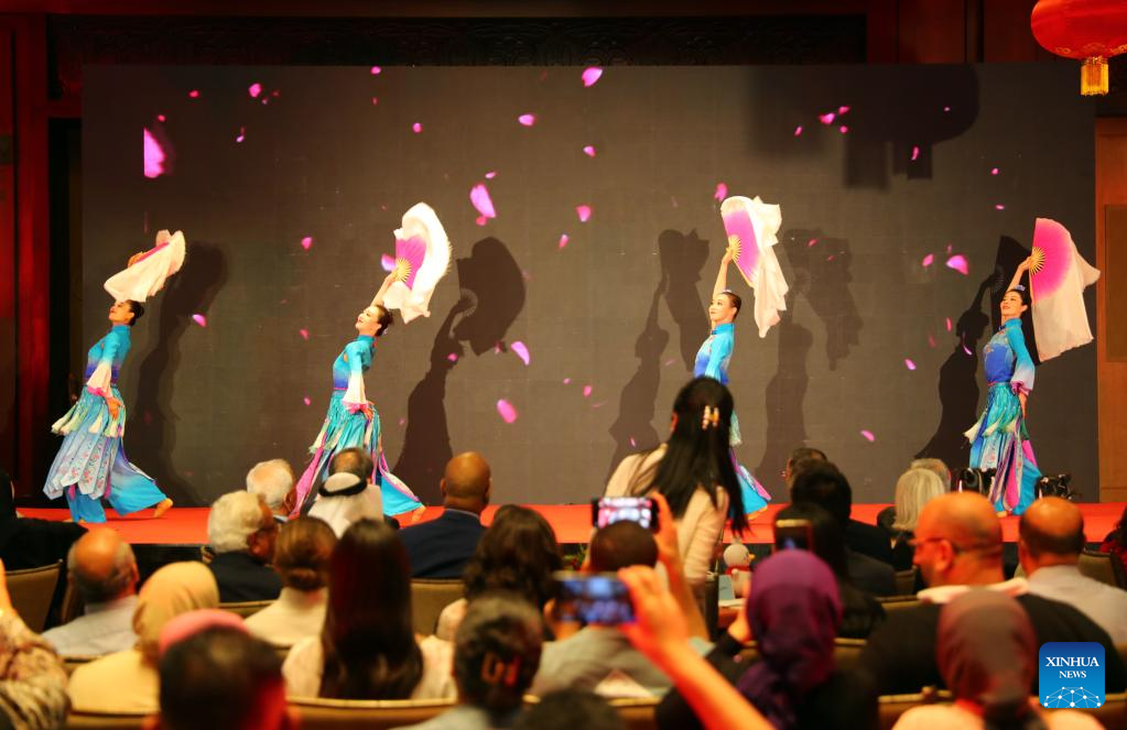 Cultural salon in Cairo showcases charm of Chinese tea culture