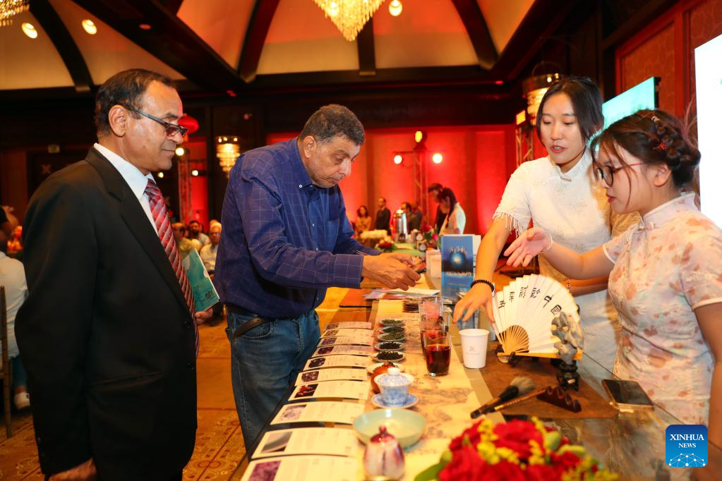Cultural salon in Cairo showcases charm of Chinese tea culture