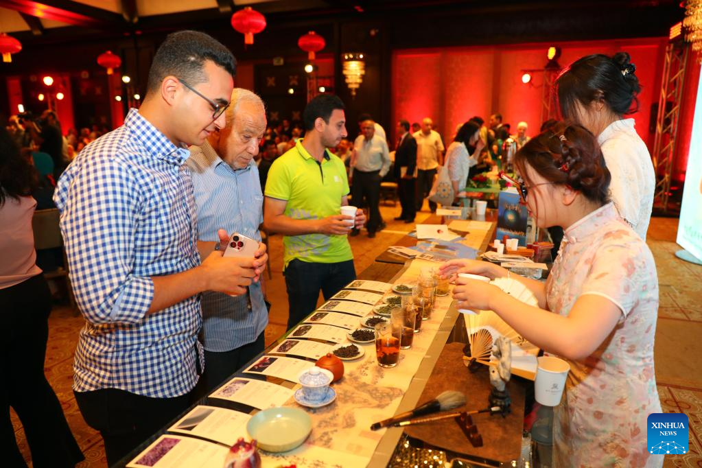 Cultural salon in Cairo showcases charm of Chinese tea culture
