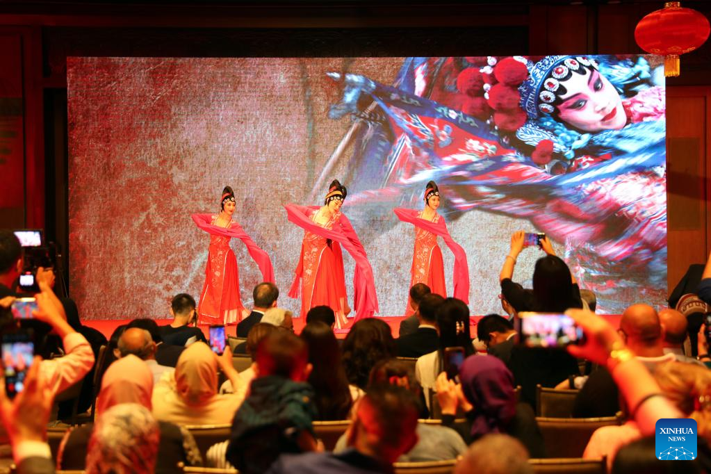 Cultural salon in Cairo showcases charm of Chinese tea culture
