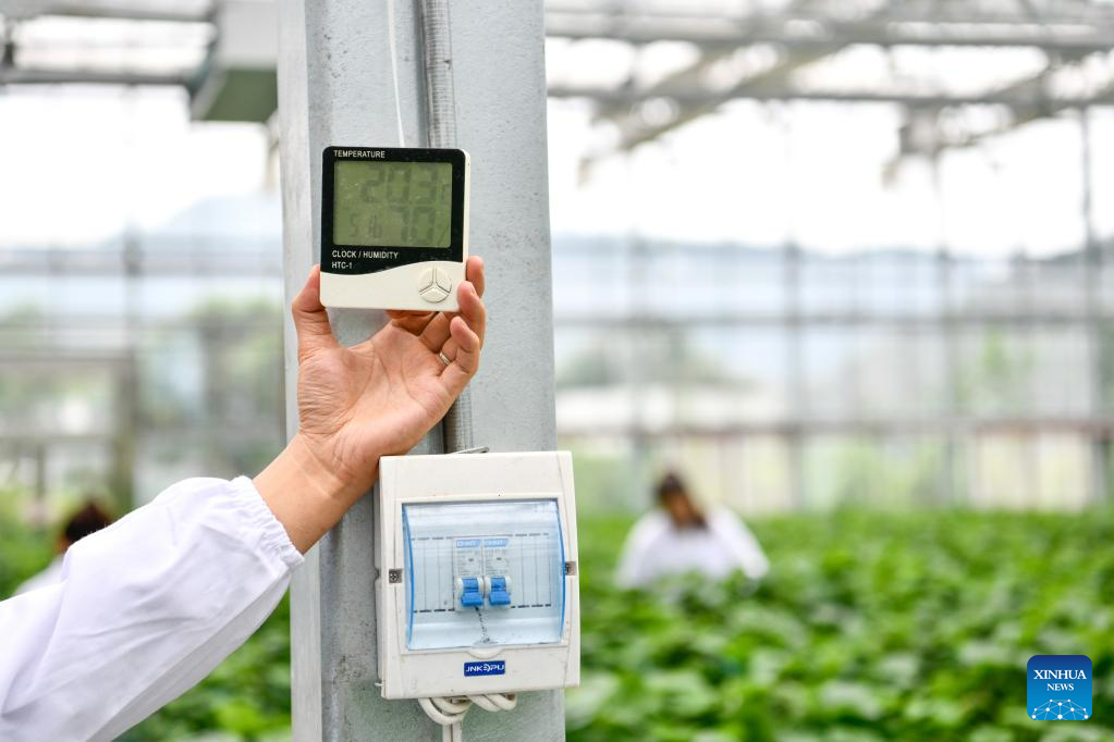 Guizhou accelerates promotion and application of smart agriculture with development of big data