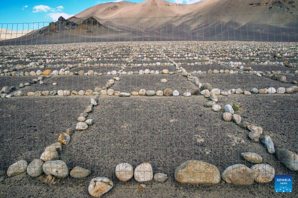 Stone grids built to protect winter pasture from damage in Tibet ...