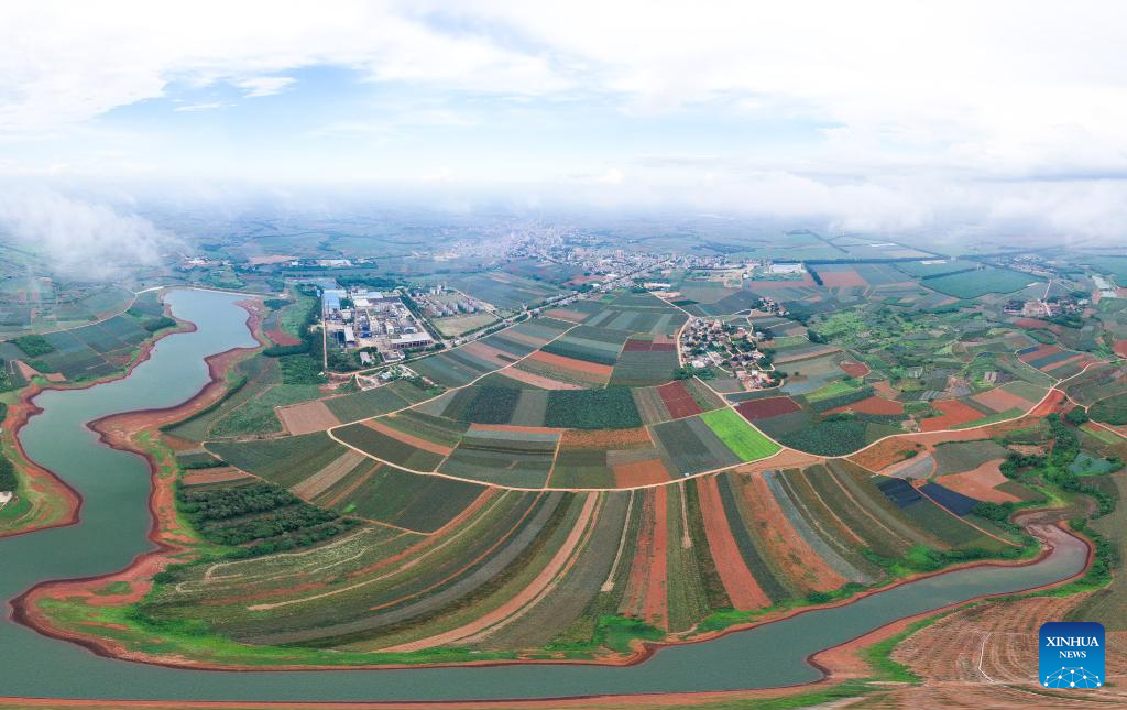 Aerial view of Zhanjiang City in China's Guangdong die