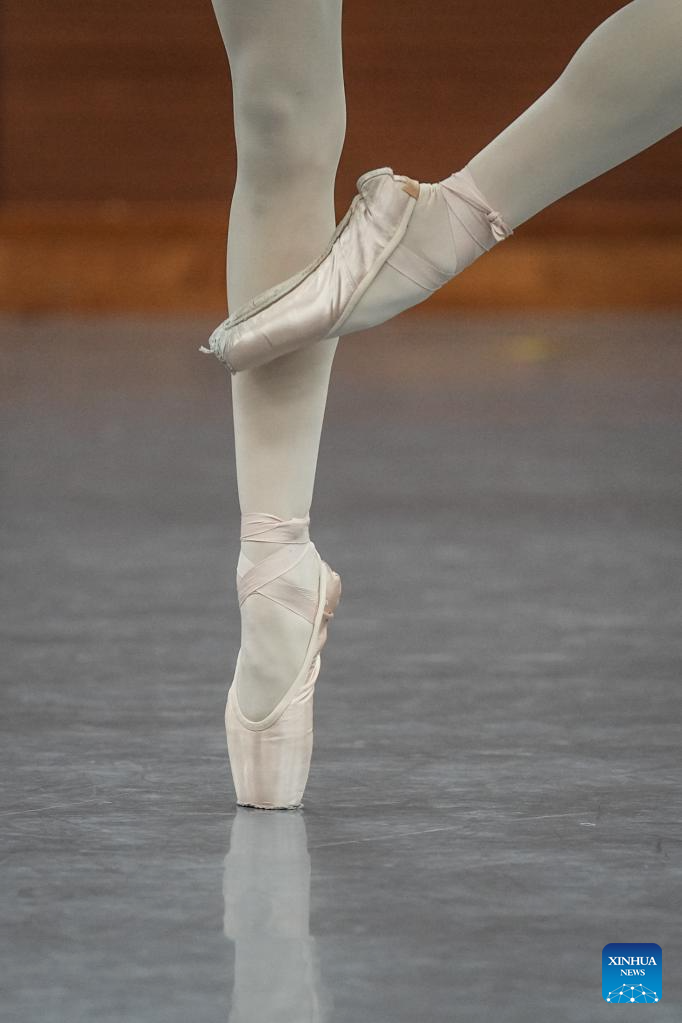 Students train hard to pursue ballet dream at ballet school in NE China's Shenyang