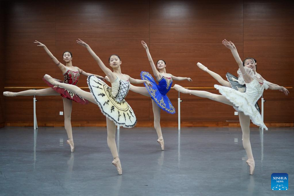 Students train hard to pursue ballet dream at ballet school in NE China's Shenyang
