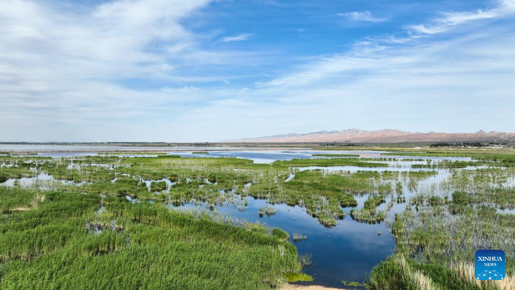 Aerial view of Ulan Suhai Lake in China's Inner Mongolia