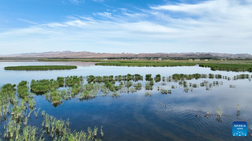 Aerial view of Ulan Suhai Lake in China's Inner Mongolia