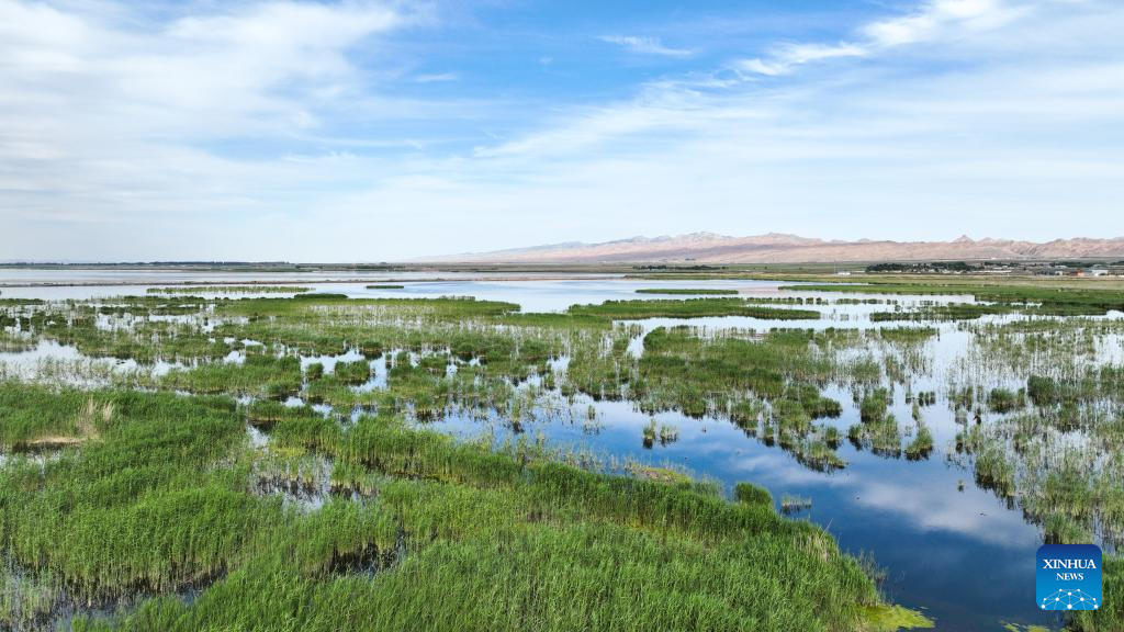 Aerial view of Ulan Suhai Lake in China's Inner Mongolia