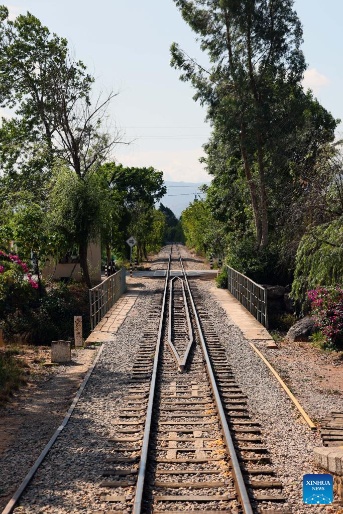 Tourism railway line attracts visitors in Honghe, SW China