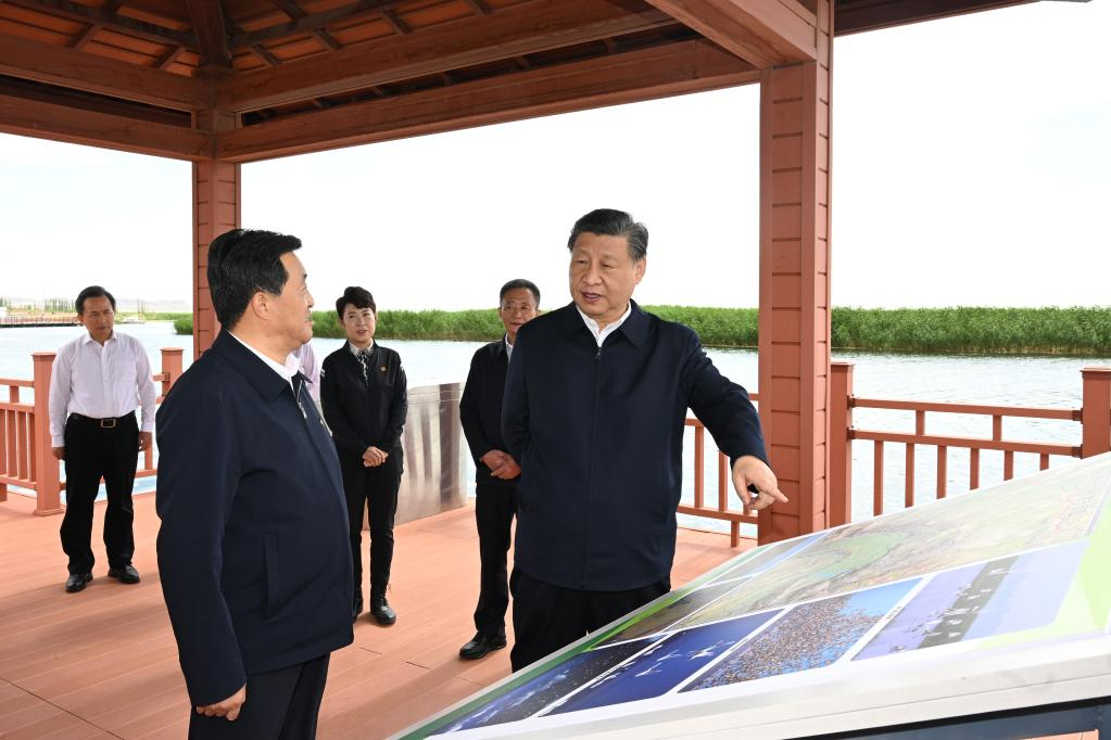 Xi urges sustained efforts to curb desertification