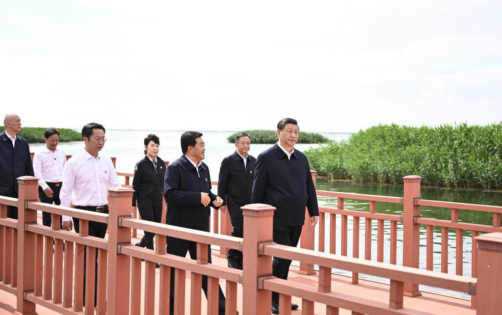 Xi urges sustained efforts to curb desertification