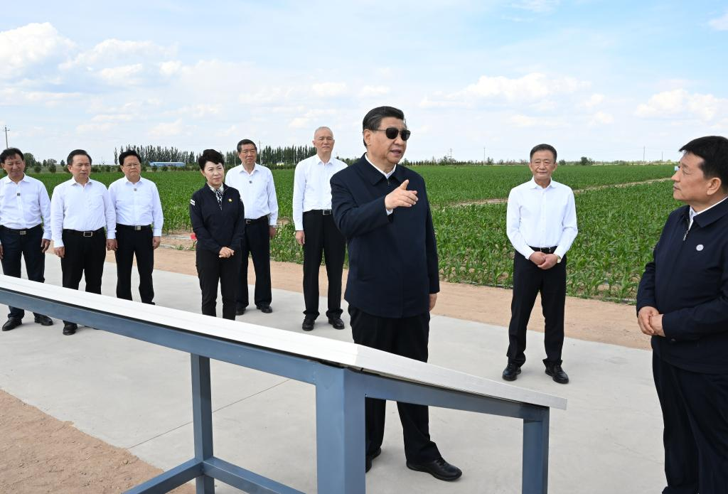 Xi urges sustained efforts to curb desertification