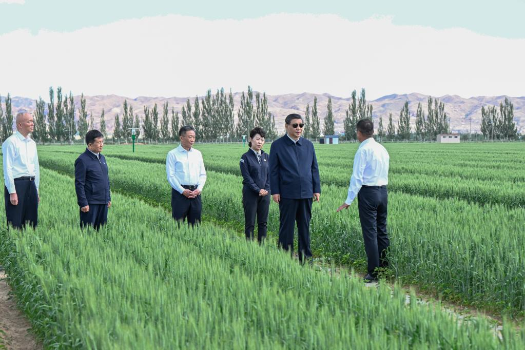 Xi urges sustained efforts to curb desertification
