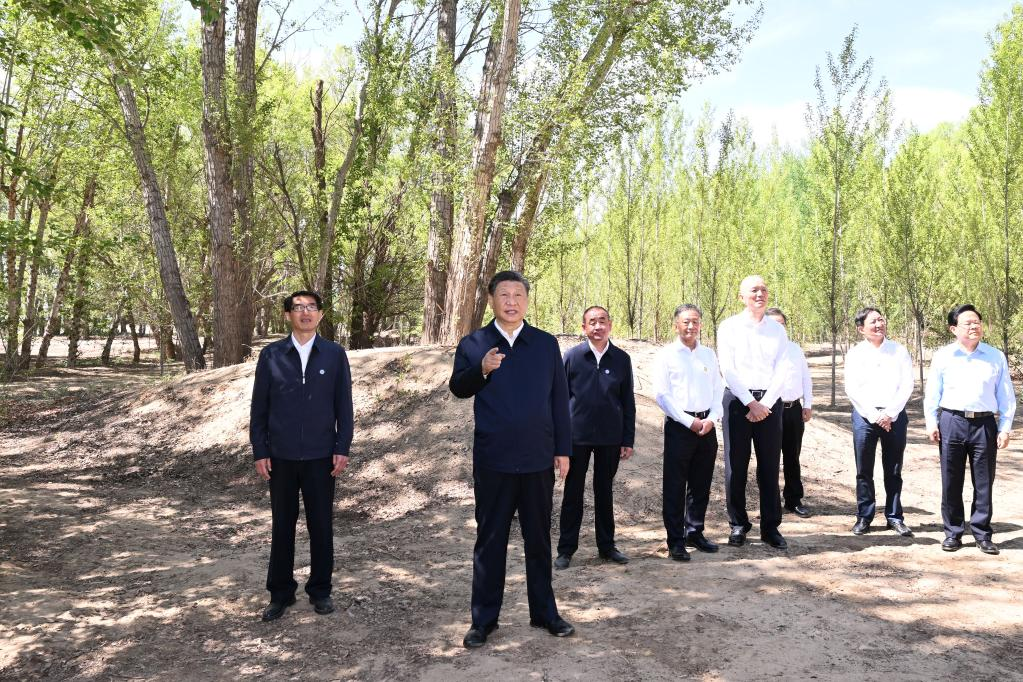 Xi urges sustained efforts to curb desertification