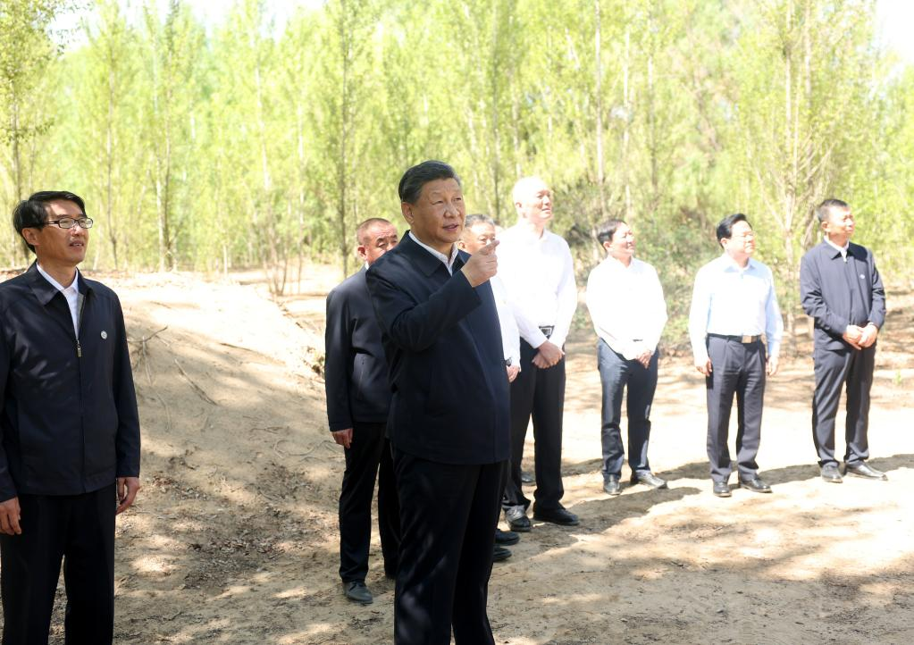 Xi urges sustained efforts to curb desertification