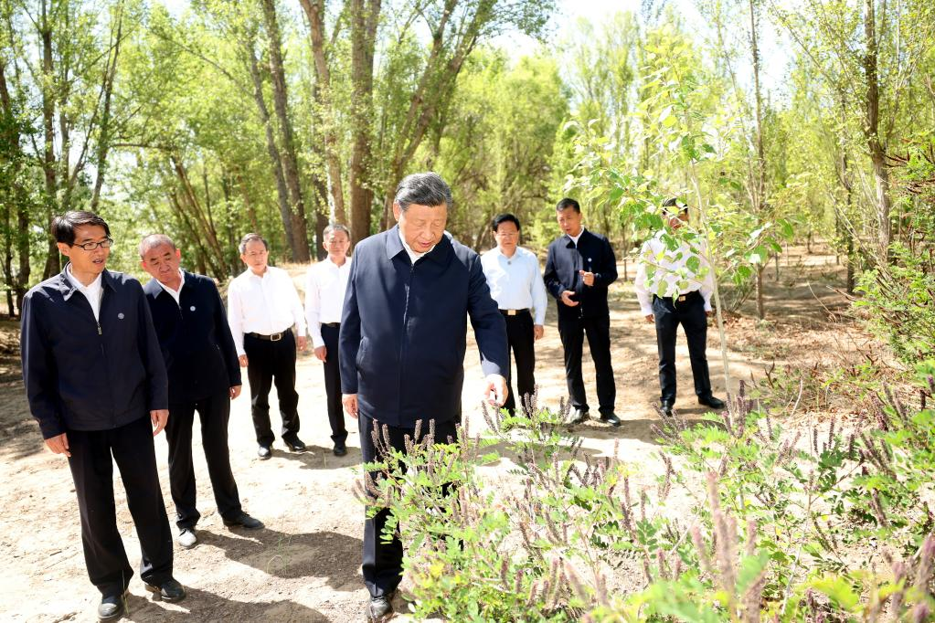 Xi urges sustained efforts to curb desertification