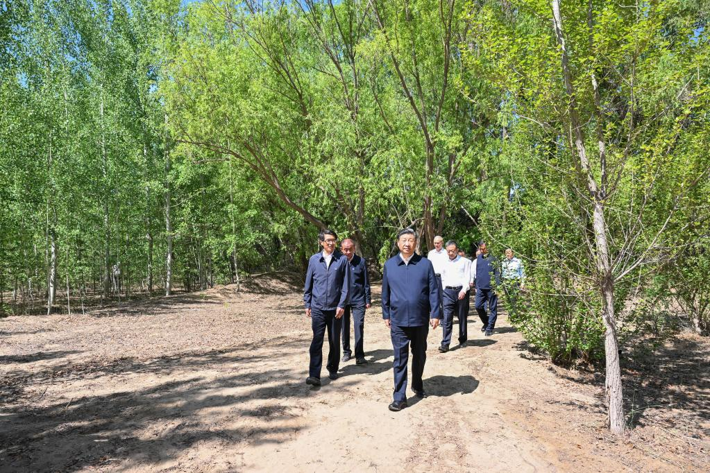 Xi urges sustained efforts to curb desertification