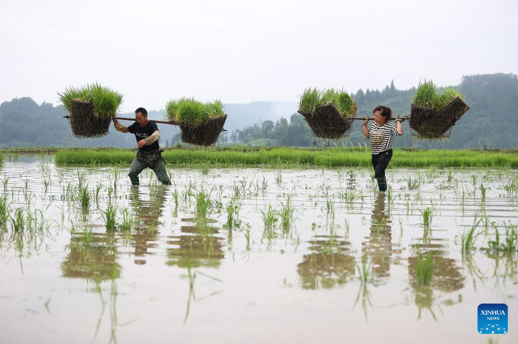 Grain in Ear marked across China