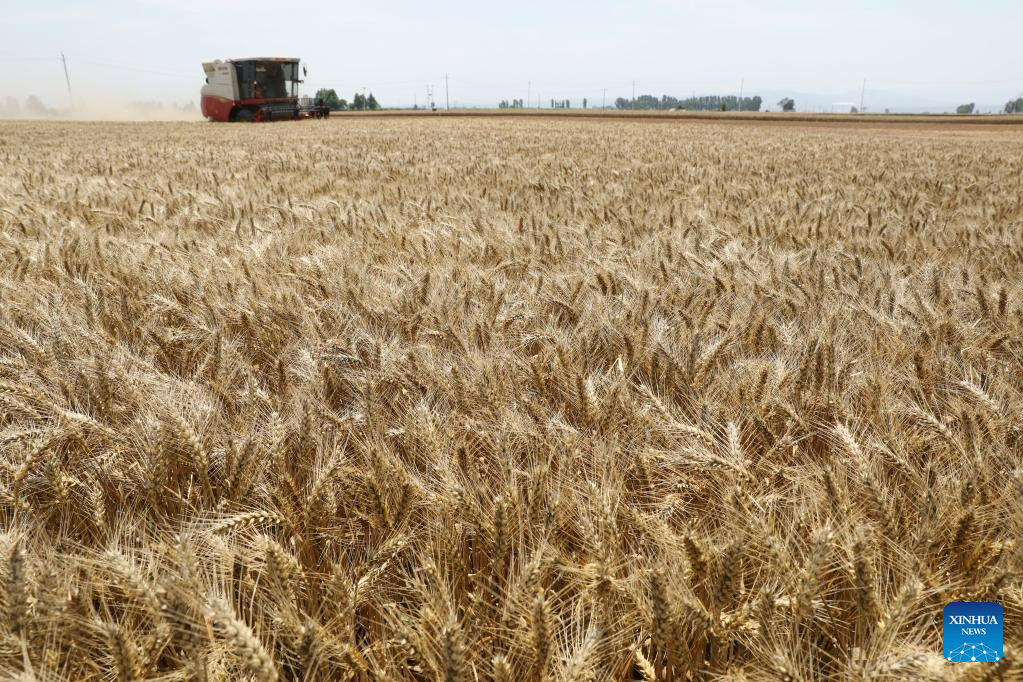 Grain in Ear marked across China