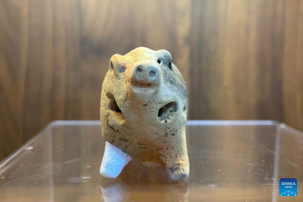 6,000-year-old pottery pig found in east China